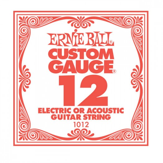 Ernie Ball .012 Plain String