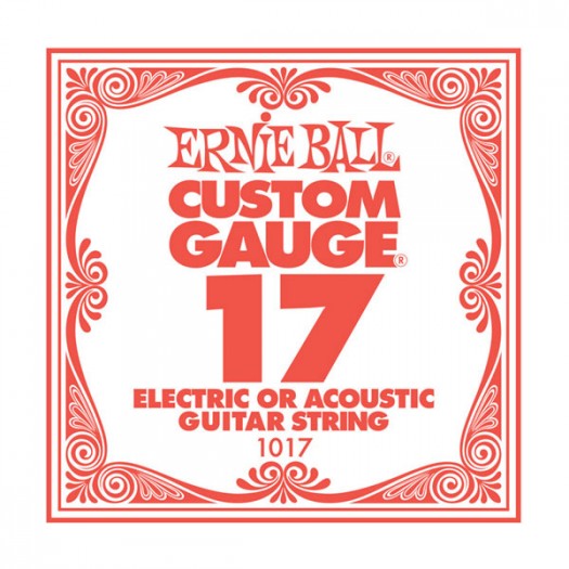 Ernie Ball .017 Plain String