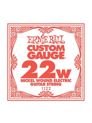 Ernie Ball .022w nickle string