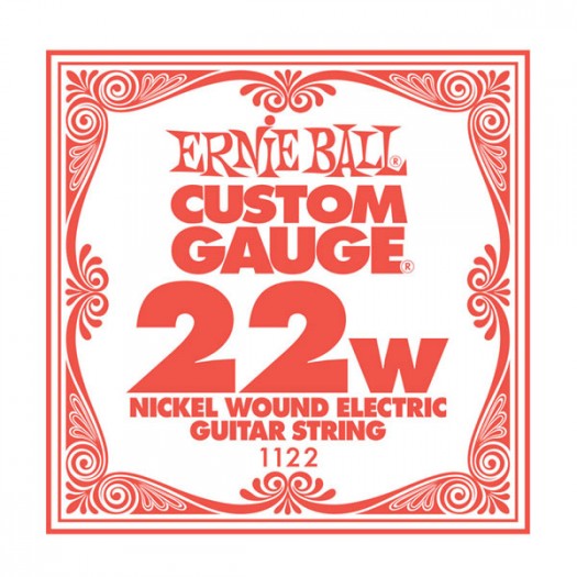 Ernie Ball .022w nickle string