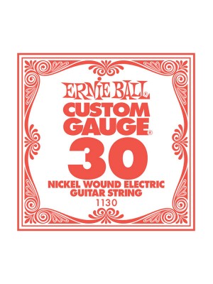 Ernie Ball .030w nickle string