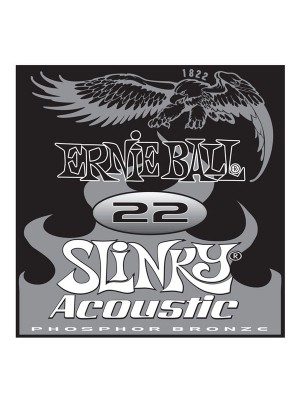 Ernie Ball 022 phosphor string