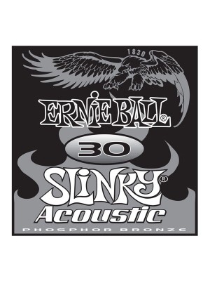 Ernie Ball 030 phosphor string