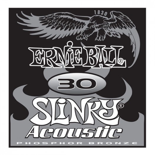 Ernie Ball 030 phosphor string