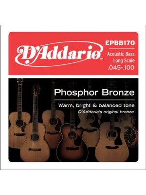 D'Addario Acoustic Bass 45-100