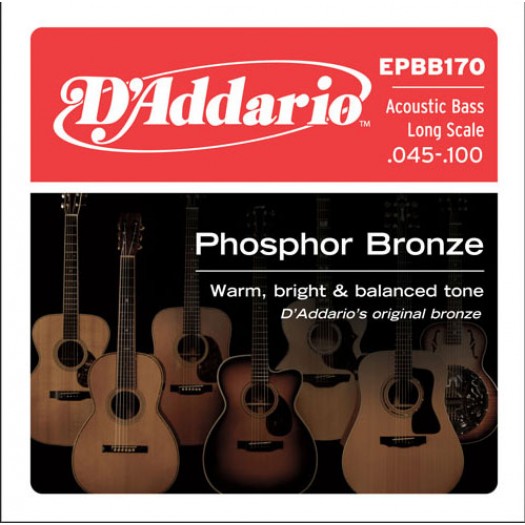 D'Addario Acoustic Bass 45-100