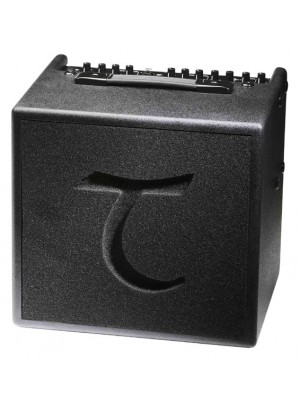 Tanglewood T6 Acoustic Amp