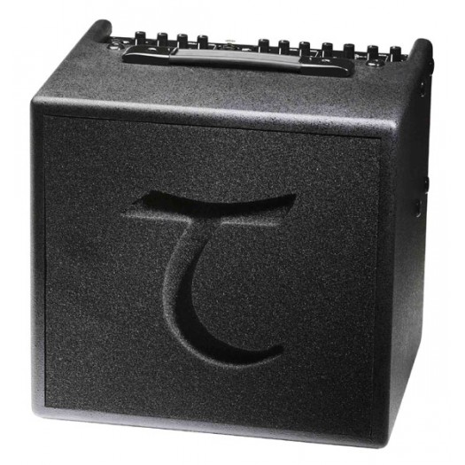 Tanglewood T6 Acoustic Amp