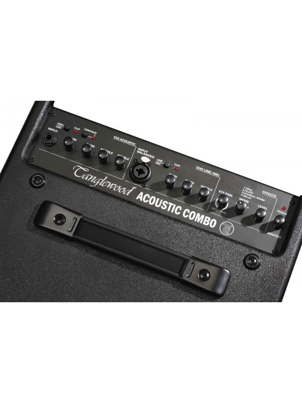 Tanglewood T6 Acoustic Amp