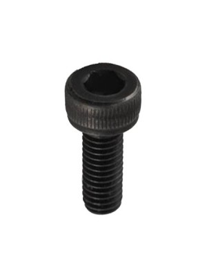 Floyd Rose Saddle Mount Screw