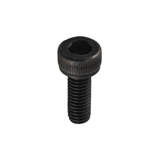 Floyd Rose Saddle Mount Screw