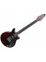 Brian May Special Guitar